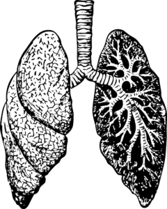dépendance au tabac : quelles sont les complications pour la santé et les poumons ?